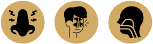 Rhinology Icons